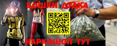 спиды Моздок