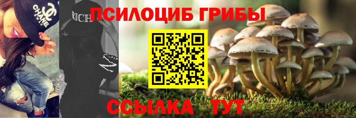 Псилоцибиновые грибы Psilocybine cubensis Вичуга